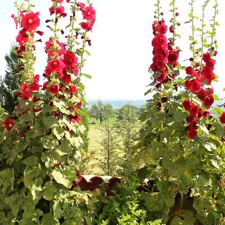 Le Clos Des Malezolles Bed and Breakfast
