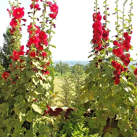 Le Clos Des Malezolles B&B Saint-Germain-Laval (Loire)
